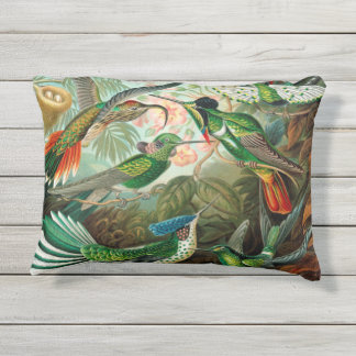 Hummingbird Antique Print Outdoor Pillow