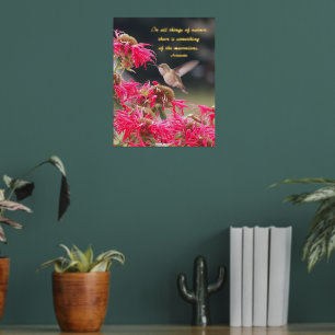 Hummingbird Aristotle Philosophical Quote Foil Prints