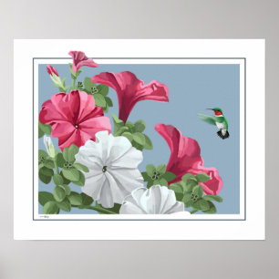 Hummingbird Art Poster