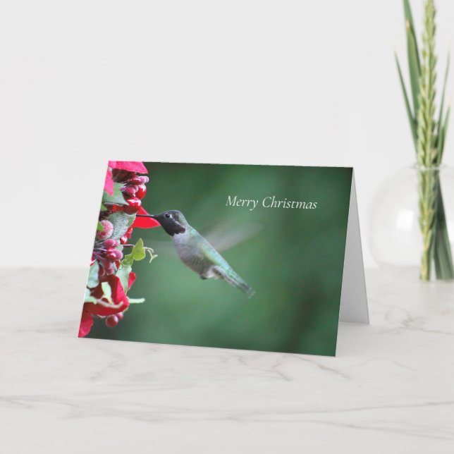 Hummingbird at Christmas feeder Holiday Card (Front)