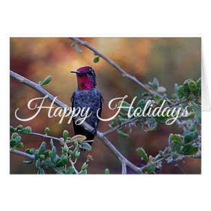Hummingbird at sunset, Happy Holidays
