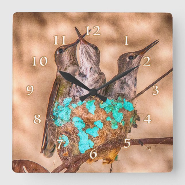 HUMMINGBIRD BABIES BUSTING LOOSE SQUARE WALL CLOCK (Front)