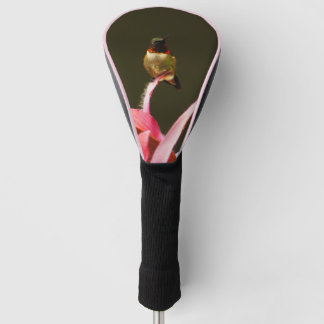 Hummingbird Balance Golf Head Cover