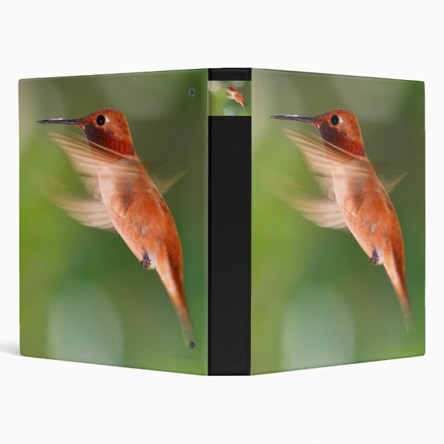 hummingbird binder (Background)