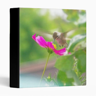 Hummingbird Bird Animal Wildlife Floral Binder