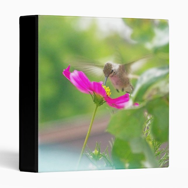 Hummingbird Bird Animal Wildlife Floral Binder (Front/Spine)