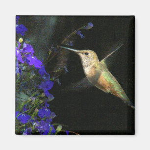 Hummingbird Bird Animal Wildlife Floral Magnet