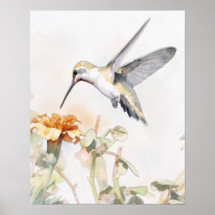 Hummingbird Bird Art Poster