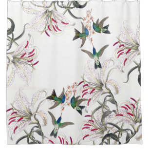 Hummingbird Bird Asiatic Lily Flowers
