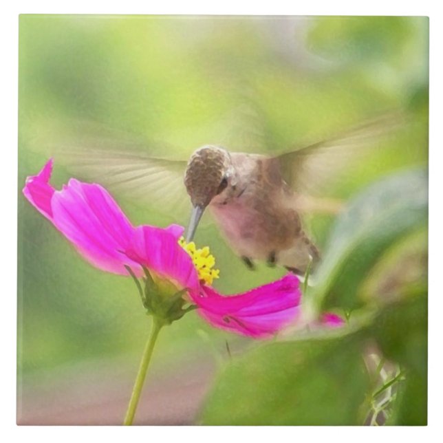 Hummingbird Bird Daisy Flower Wildlife Tile (Front)
