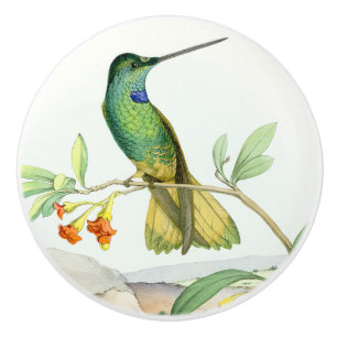 Hummingbird Bird Flower Floral Garden Knob