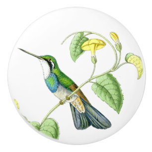 Hummingbird Bird Flower Floral Garden Knob