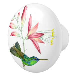 Hummingbird Bird Flower Floral Garden Knob