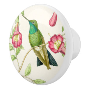 Hummingbird Bird Flower Floral Garden Knob