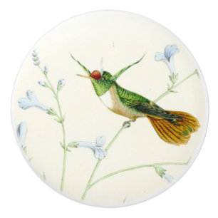 Hummingbird Bird Flower Floral Garden Knob