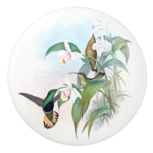 Hummingbird Bird Flowers Wildlife Animal Knob