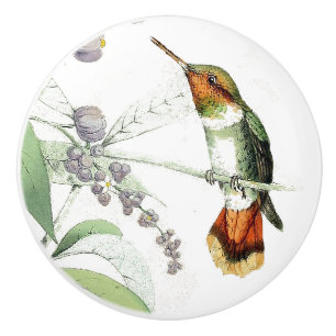 Hummingbird Bird Flowers Wildlife Animal Pull/Knob Ceramic Knob