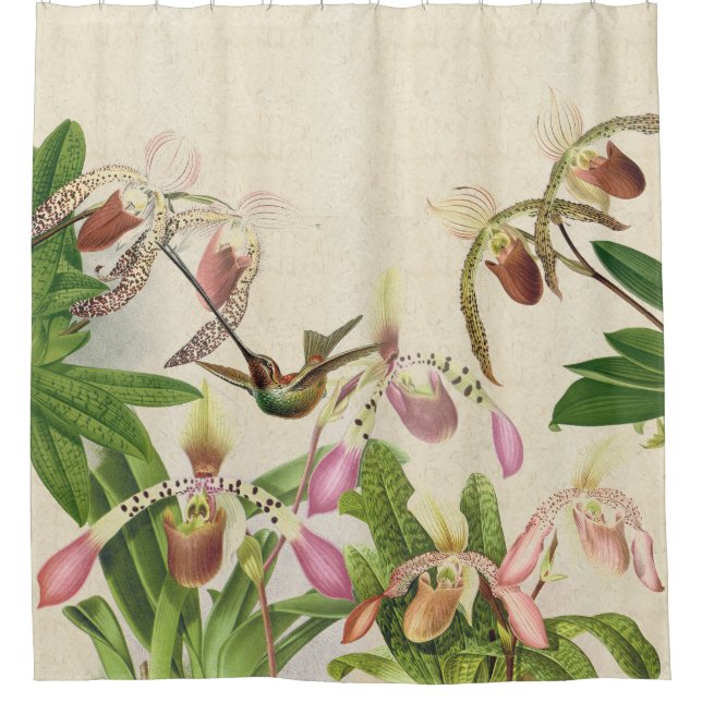 Hummingbird Bird Ladys Slipper Orchid Flowers (Front)