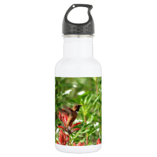 Hummingbird bird red flower 532 ml water bottle
