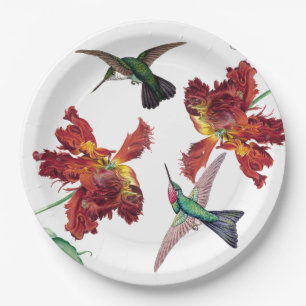 Hummingbird Bird Tulip Flowers Paper Plate