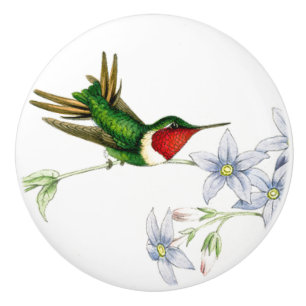 Hummingbird Bird Wildlife Animal Floral Knob