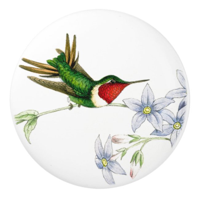 Hummingbird Bird Wildlife Animal Floral Knob (Front)