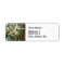 hummingbird bird wildlife classic painting