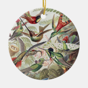 Hummingbird Bird Wildlife Classic Painting Ceramic Ornament