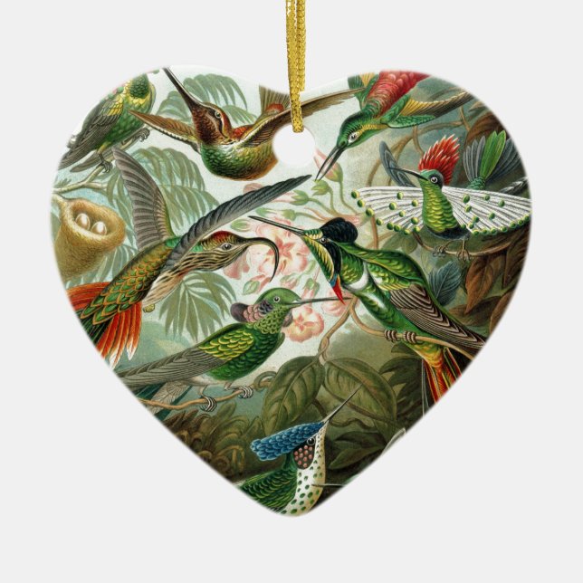 hummingbird bird wildlife classic painting ceramic ornament (Front)