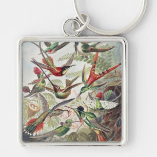 Hummingbird Bird Wildlife Classic Painting Keychain