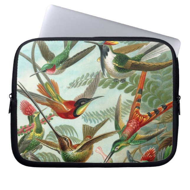 hummingbird bird wildlife classic painting laptop sleeve (Front)