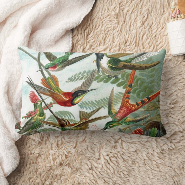 hummingbird bird wildlife classic painting lumbar pillow (Blanket)
