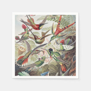 Hummingbird Bird Wildlife Classic Painting Napkin