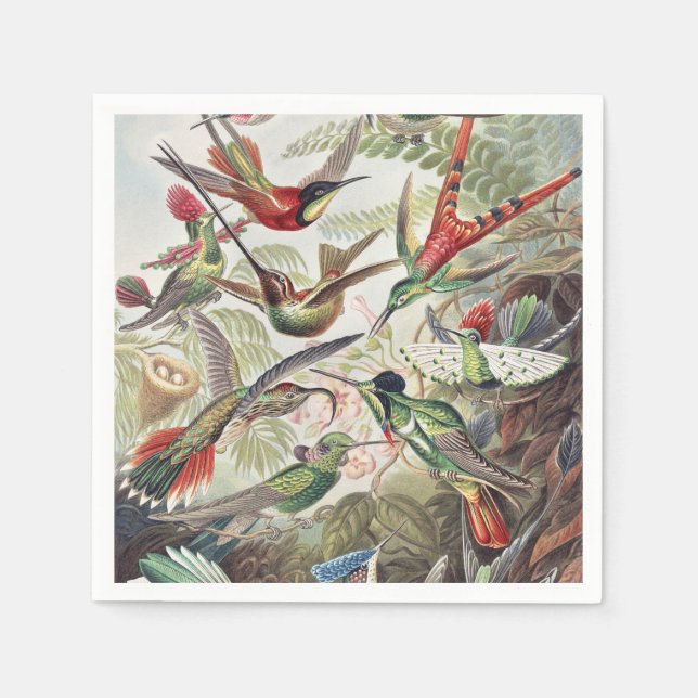 Hummingbird Bird Wildlife Classic Painting Napkin (Front)