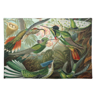 hummingbird bird wildlife classic painting placemat