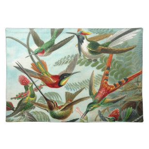 hummingbird bird wildlife classic painting placemat