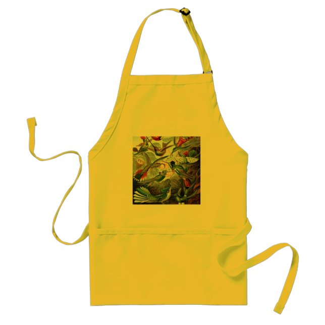 hummingbird bird wildlife classic painting standard apron (Front)