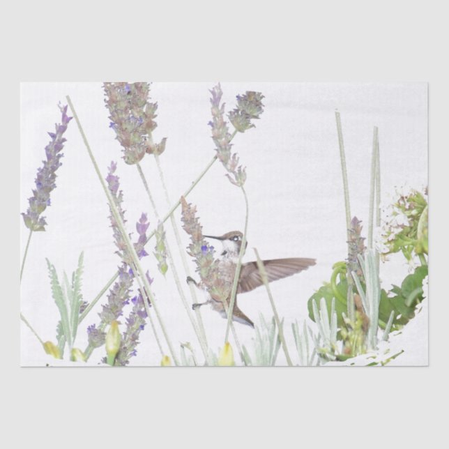 Hummingbird Bird Wildlife Flowers Tissue Paper (Front)
