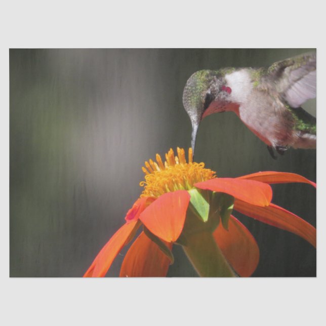 Hummingbird Bird Wildlife Sunflower Flower Floral Tissue Paper (Front)
