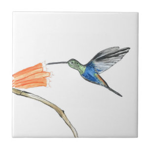 Hummingbird Bird Wildlife Watercolor Colourful  Tile