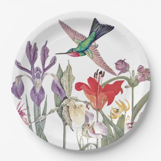 Hummingbird Birds Animals Flowers Paper Plates (Front)