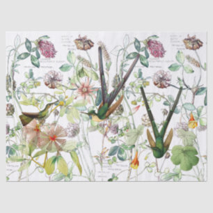 Hummingbird Birds Clover Flowers Tissue Paper