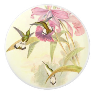 Hummingbird Birds Flower Floral Garden Knob