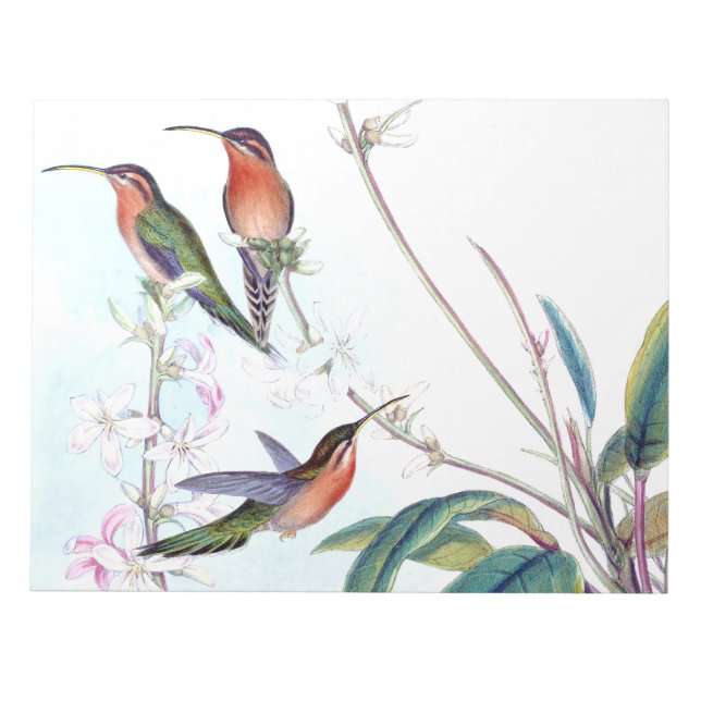 Hummingbird Birds Flower Floral Wildlife Notepad (Front)