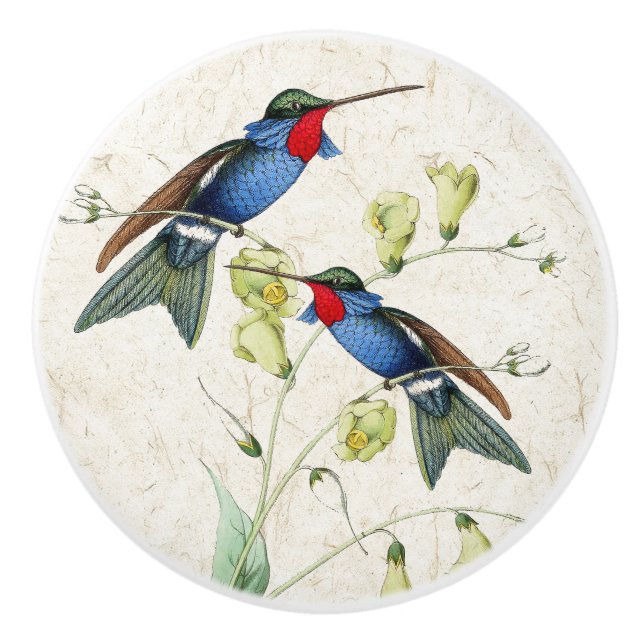 Hummingbird Birds Flowers Animal Ceramic Pull Knob (Front)