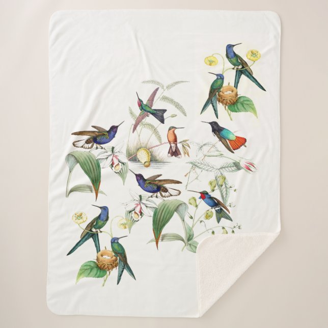 Hummingbird Birds Flowers Animals Sherpa Blanket (Front)