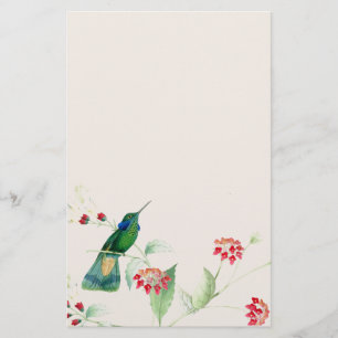 Hummingbird Birds Flowers Floral Wildlife Animals Stationery