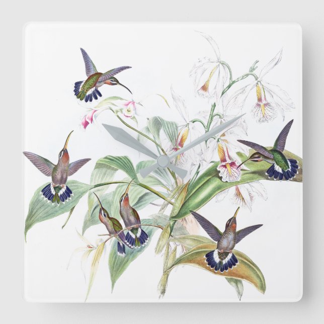 Hummingbird Birds Orchid Flowers Wall Clock (Front)