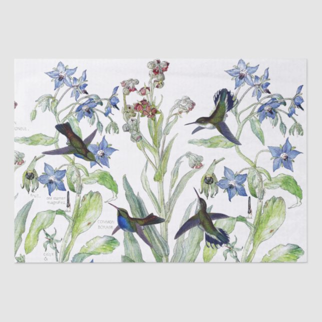 Hummingbird Birds Starflower Flowers Tissue Paper (Front)