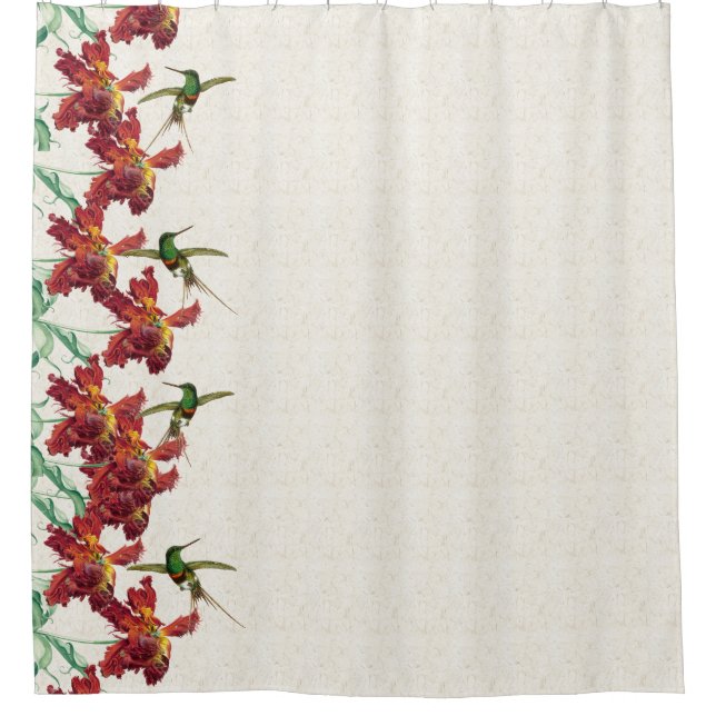 Hummingbird Birds & Tulip Flowers Shower Curtain (Front)